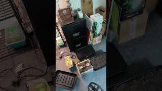 Minelab Power #metaldetecting #minelabmanticore #shorts