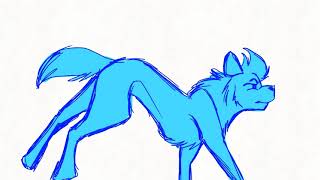 Male wolf run cycle