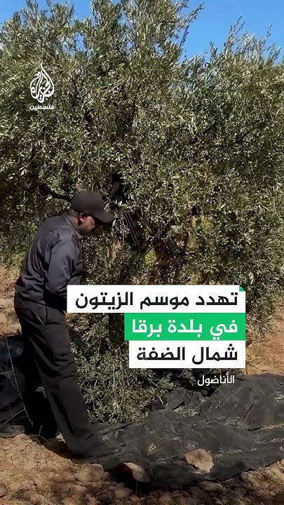         
 - نشر قبل 16 دقيقة