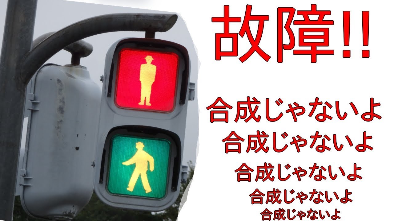 信号機制御機が故障した 歩行者信号機青赤同時点灯 合成とかコラージュじゃないよ 某交通公園より Youtube