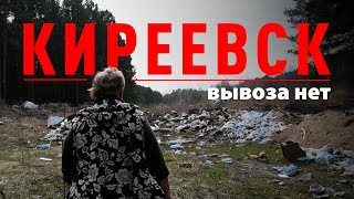 ВЫВОЗА НЕТ: почему Киреевск утонул в мусоре и что с этим делать