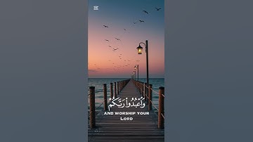 تلاوة رائعة من سورة الحج 🍃🕋 عبد الرحمان مسعد 🍃🕋