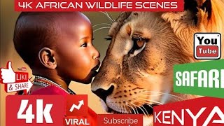 4K Wild Animals- A Peaceful Nature Meditation Film with Relaxing Music and Stunning Wildlife videos