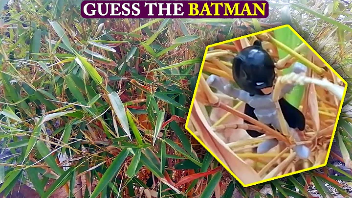 Guess The Hidden BATMAN Hidden Optical Illusions Riddles Genius Brain Teasers Most FAIL Brain Puzzle