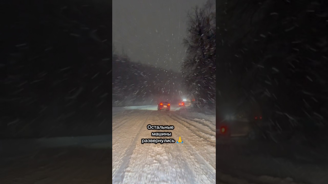 Часть 2 лягушонка в коробчонке #wickedhalrey берегите себя 🙏