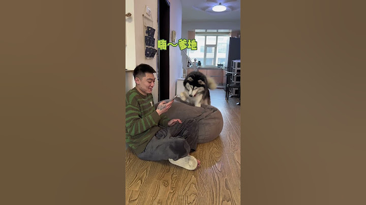 不拆：媽咪三個人的世界太擁擠，你退出吧 #萌寵#爹寶狗
