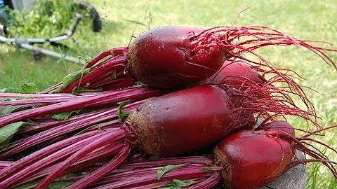 Кому нельзя есть СВЁКЛУ категорически?