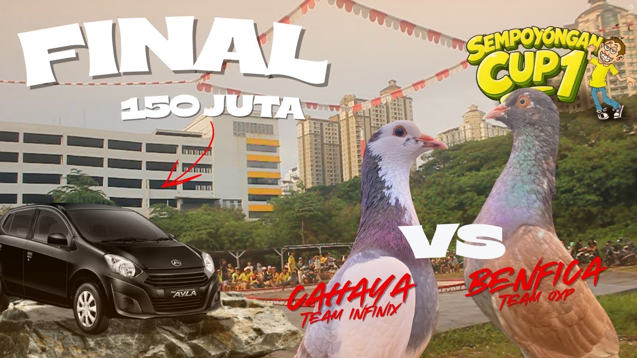 DUEL SERU DI LANGIT JAKARTA EVENT SEMPOYONGAN CUP1 TOTAL 150 JUTA RUPIAH.