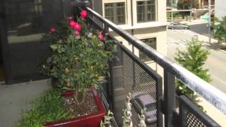 121 North Martin Luther King 306