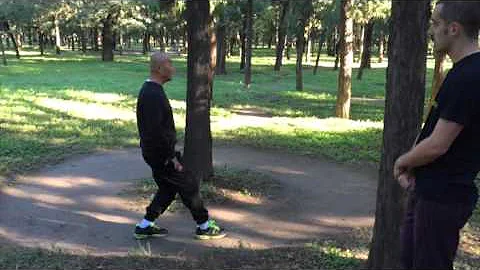 Cheng BaGua Circle Walking: A Deep Breakdown