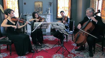 Walking On A Dream - Empire of the Sun - Stringspace String Quartet
