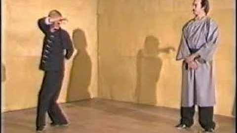 Tung Hai-Chuan BaGuaZhang (1 of 2)