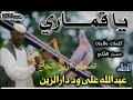 اغنية ياقماري عبدالله علي وددارالزين اغنية ياقماري عبدالله علي وددارالزين