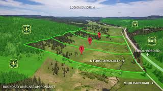 🌲✨ 10 acres FOR SALE - N. Rochford Rd, Lead, SD 🌲✨