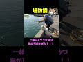 一緒に魚を待つ姿が可愛すぎる猫 #shorts #釣りよかでしょう #fishing #堤防猫 #cat