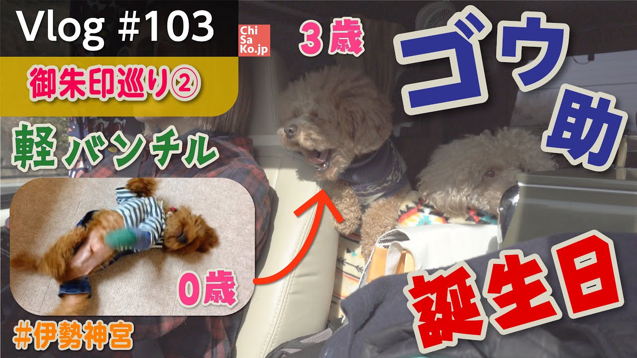 Отпразднуйте 3-й день рождения Госукэ на самодельном легком фургоне ~ Goshuin tour ② Ise Jingu ~