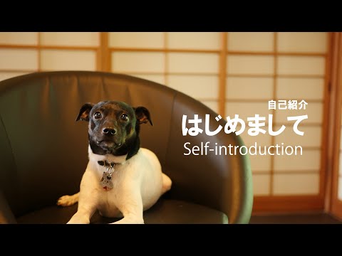 Living with HAKU~ハクとの暮らし〜のチャンネルについて