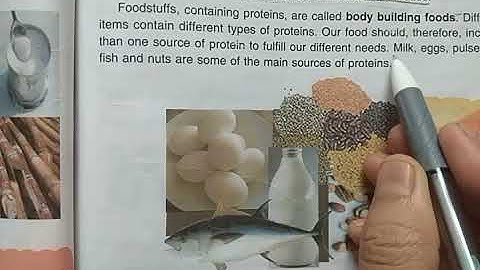 DAV Nahan Class-IV Science Lesson-7, Part-4