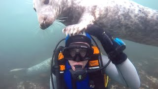 Rare & Interesting Encounters With Sea Animals Caught On Camera!
