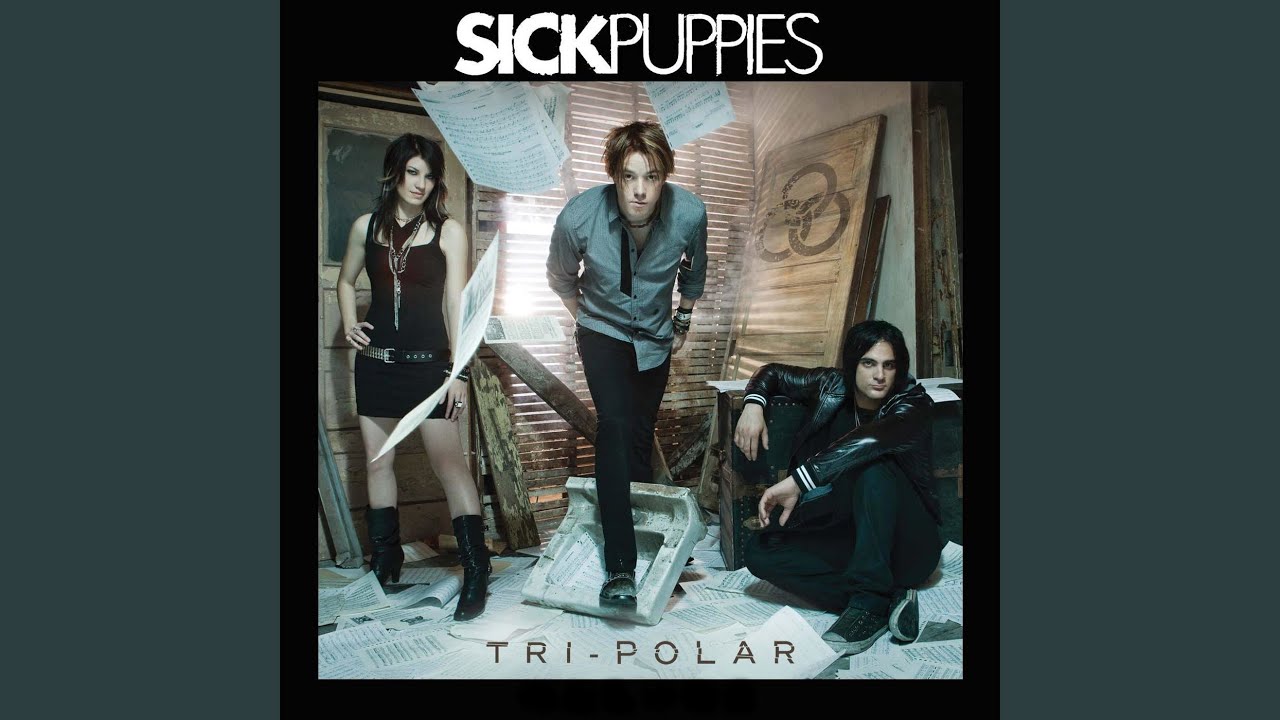 Sick puppies you re going down