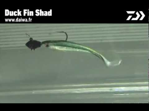 Daiwa Duckfin Shad video