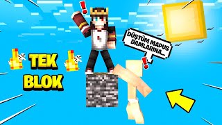 SAKAR BEBEK İLE TEK BLOK  !!  Minecraft