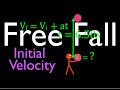 Free Fall Kinematics Quiz