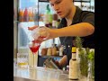Bartender Profesional