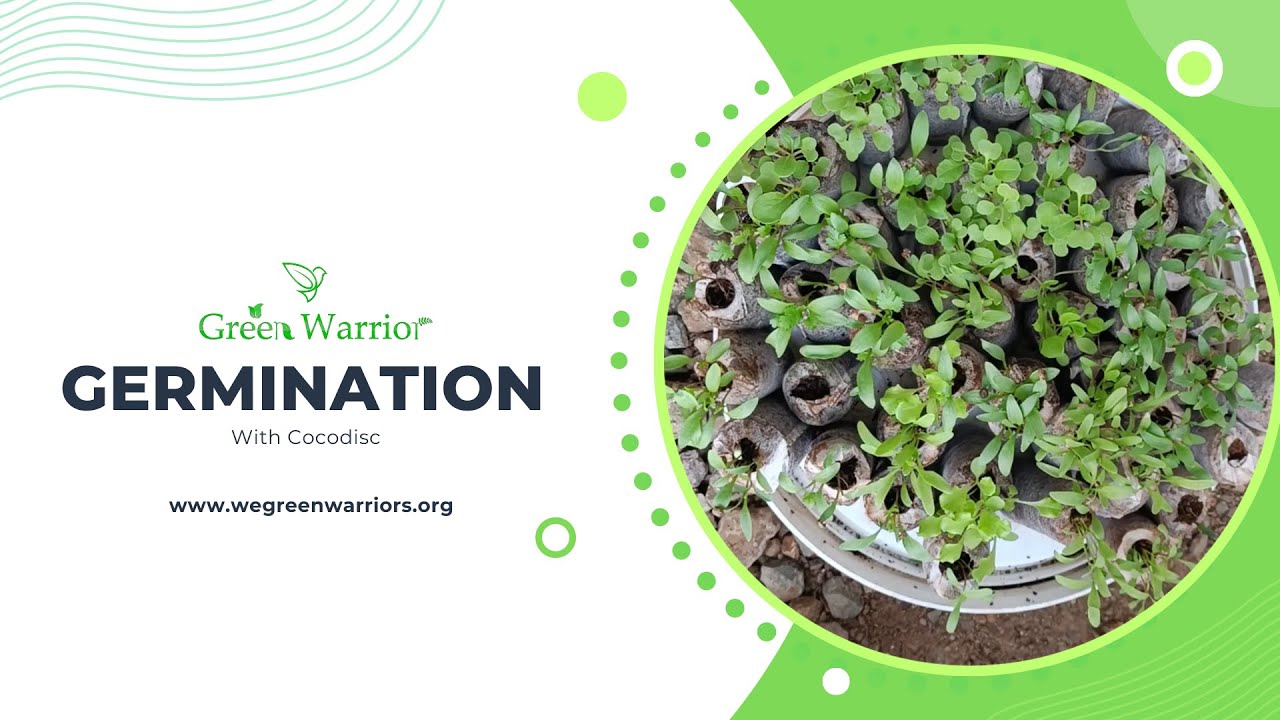 Procedure for Germination with Coco Discs
