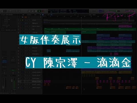 CY 陳宗澤 - 滴滴金 女版伴奏展示