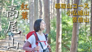 【紅葉登山】高尾山\/稲荷山コース\/小仏城山\/景信山【夫婦登山】