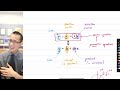 Vector Equations and Their Applications