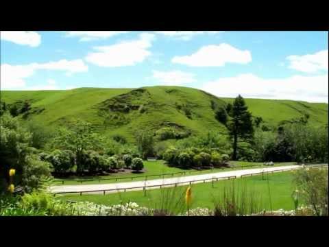 Your Guide to Wanganui - New Zealand