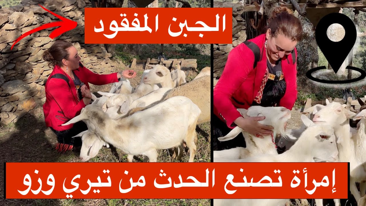 إمرأة جزائريةمن أعالي تيزي وزو تقتحم عالم تربية الماعز وتدخل أبواب الشهرة من الباب الواسع | الحلقة1 
