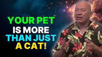 Bashar Twin Flame – The Secret Abilities of Extraterrestrials & Cats!