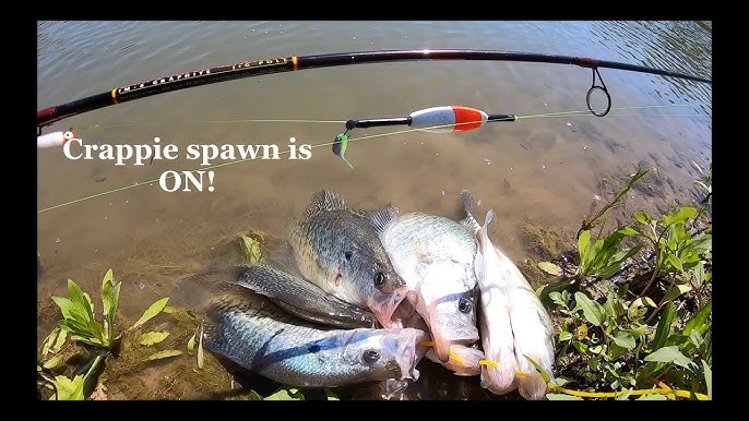 Crappie Fishing With A Jig (THESE Tips Will MAKE Crappie Bite!) 