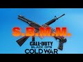 M16 and Gallo Class Destroys SBMM- Black Ops Cold War (Nuketown &#39;84 Gameplay)