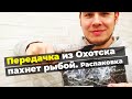 Передали посылку с крайнего севера. Пахнет рыбой, посмотрим что внутри | Распаковка посылки