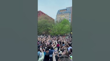 Thumbnail of Lorde fans sing "Ribs" together in Washington Square Park #shorts #lorde