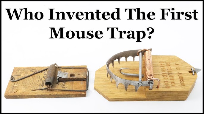 The Incredible Mouse-A-Whirl Spinning Mouse Trap Fills a Bucket With Mice.  Mousetrap Monday 