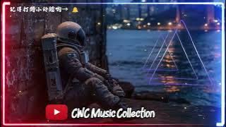 【不要叫我APUNENE】 WE NOT APUNENE - Vikram ft. Sai_(Bootleg25)_DJ J3RRY 2o25 ReMix