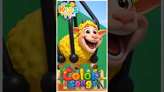 Sheep Color Song | Kids Rhyme | Gili Gili Choo Kids TV