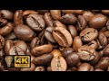 4k uroasted coffee beans screensaver 8 hours of high quality and music