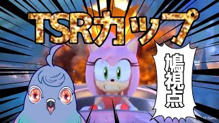 【鳩視点】サーバー大会！TSRカップで最強を目指す！【チームソニックレーシング】