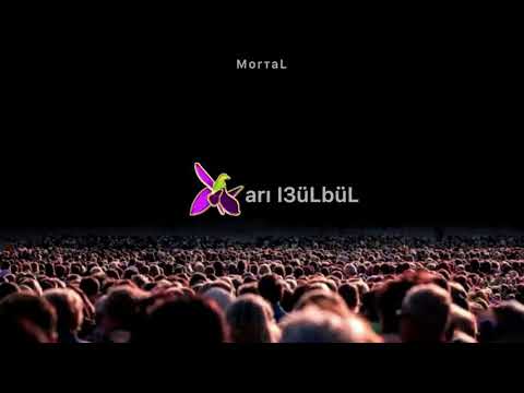 Mortal - Xarı Bülbül