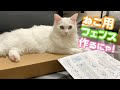 ネコ用フェンスを設置してみた！