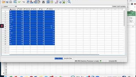 Sorting data & calculating the mean, SD, minimum and maximum using SPSS