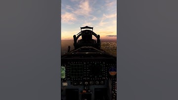 Which aircraft has the best back seat? #dcs #dcsworld #f14 #f15 #f4 #f4phantom #wso #rio