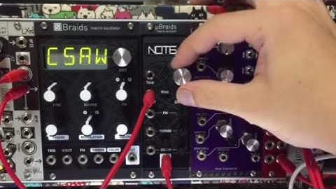 Magpie Modular Micro Braids (same Mutable Braids)