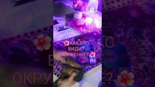 🌺КАК ВАС ВИДИТ ОКРУЖЕНИЕ??? 🌺